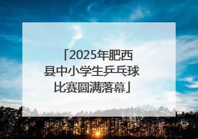 2025年肥西县中小学生乒乓球比赛圆满落幕