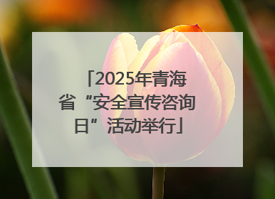 2025年青海省“安全宣传咨询日”活动举行