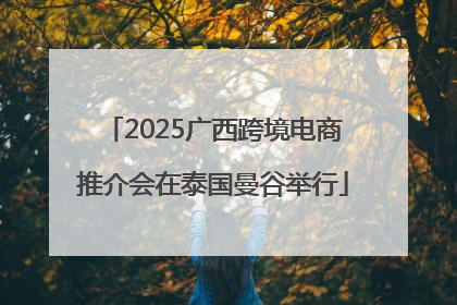2025广西跨境电商推介会在泰国曼谷举行