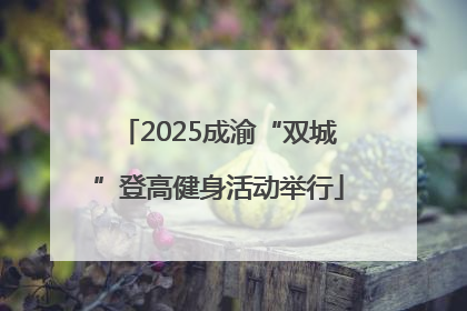 2025成渝“双城”登高健身活动举行
