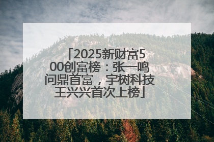 2025新财富500创富榜：张一鸣问鼎首富，宇树科技王兴兴首次上榜