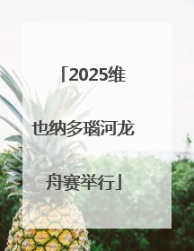 2025维也纳多瑙河龙舟赛举行
