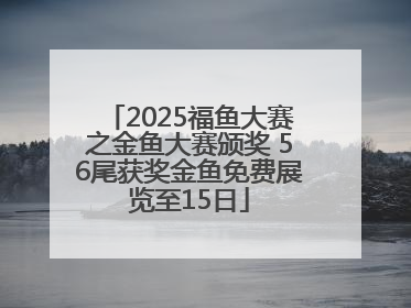 2025福鱼大赛之金鱼大赛颁奖 56尾获奖金鱼免费展览至15日