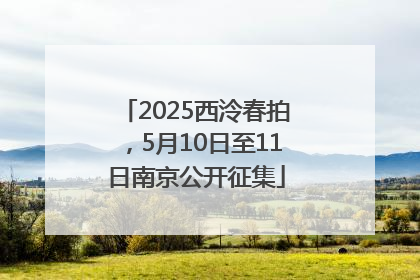 2025西泠春拍，5月10日至11日南京公开征集