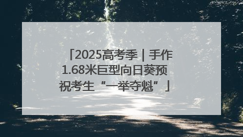 2025高考季｜手作1.68米巨型向日葵预祝考生“一举夺魁”