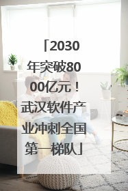 2030年突破8000亿元！武汉软件产业冲刺全国第一梯队