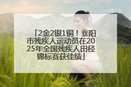 2金2银1铜！襄阳市残疾人运动员在2025年全国残疾人田径锦标赛获佳绩