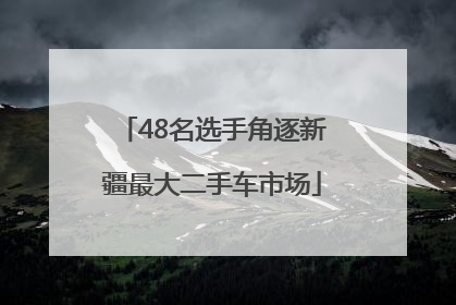 48名选手角逐新疆最大二手车市场