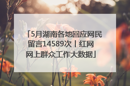 5月湖南各地回应网民留言14589次丨红网网上群众工作大数据