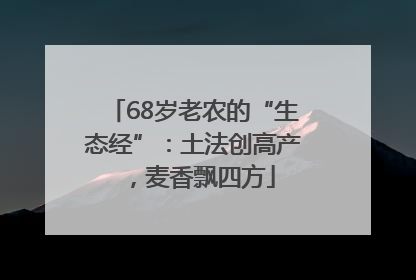 68岁老农的“生态经”：土法创高产，麦香飘四方