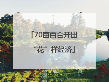 70亩百合开出“花”样经济