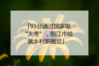 95分通过国家级“大考”，镇江市绘就乡村新图景