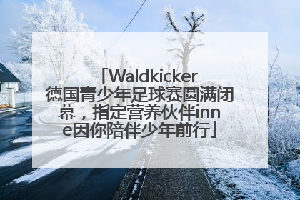 Waldkicker德国青少年足球赛圆满闭幕，指定营养伙伴inne因你陪伴少年前行